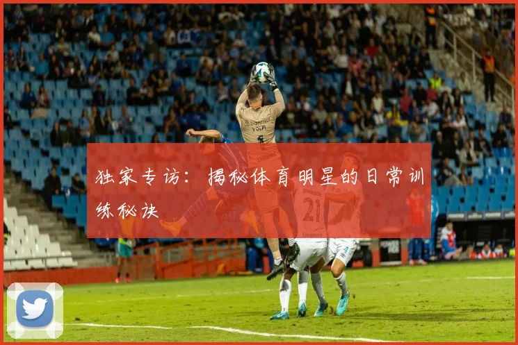 独家专访:揭秘体育明星的日常训练秘诀