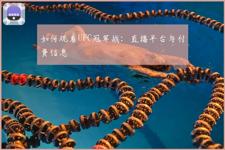 如何观看UFC冠军战：直播平台与付费信息