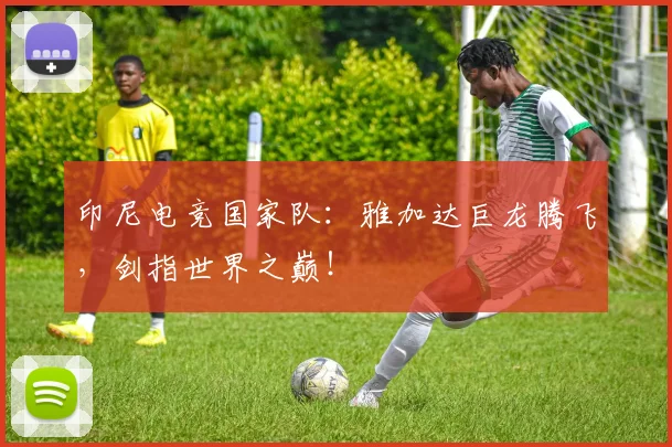 印尼电竞国家队：雅加达巨龙腾飞，剑指世界之巅！