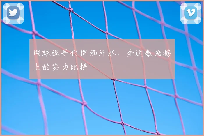 网球选手们挥洒汗水,全运数据榜上的实力比拼