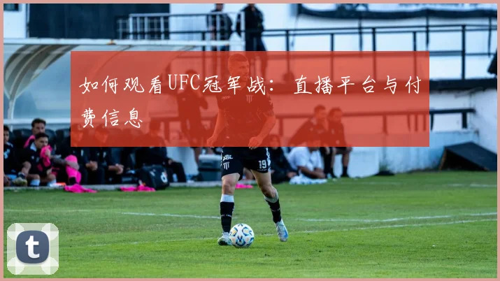 如何观看UFC冠军战:直播平台与付费信息