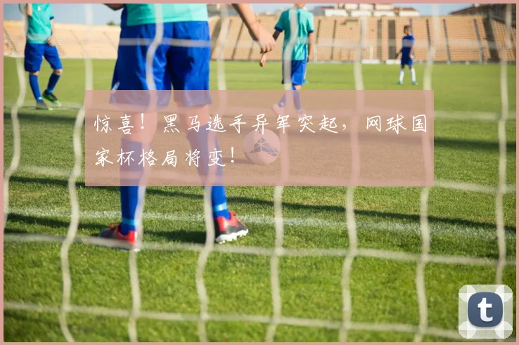 惊喜！黑马选手异军突起，网球国家杯格局将变！